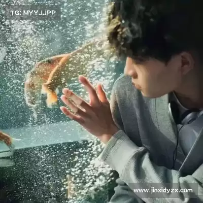 单进飙